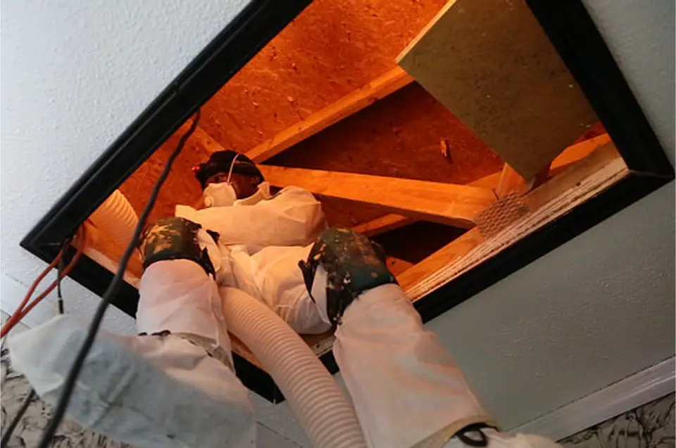 Many homeowners come to realize that they need to add or replace their insulation to lower electric or fuel costs. Blown-in attic insulation