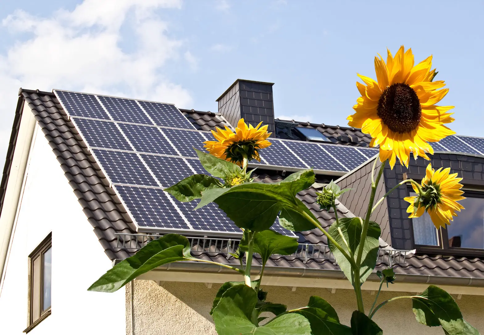 Solar cells on a roof with sun flowers in the foreground