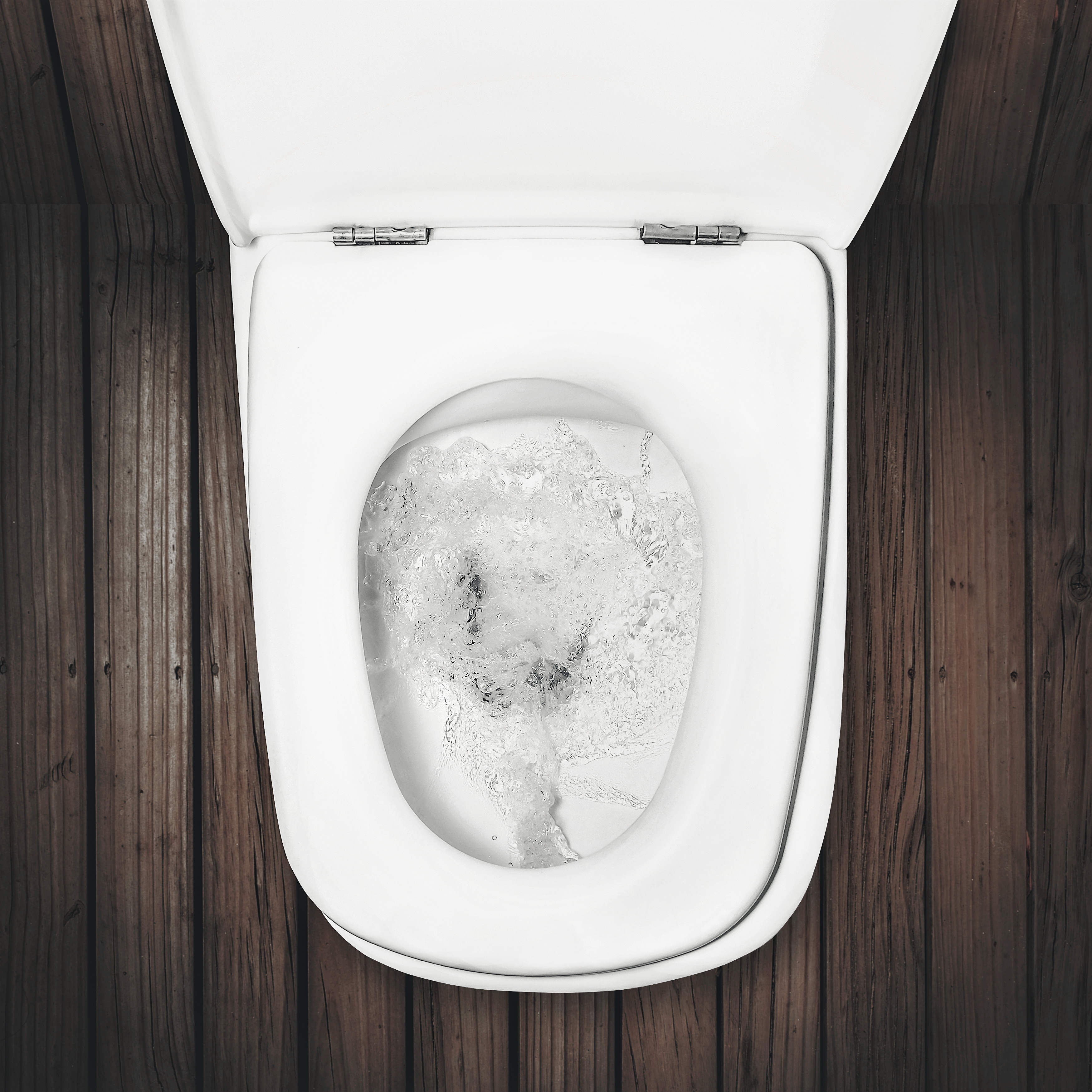Unclogging Your Toilet the Natural Way