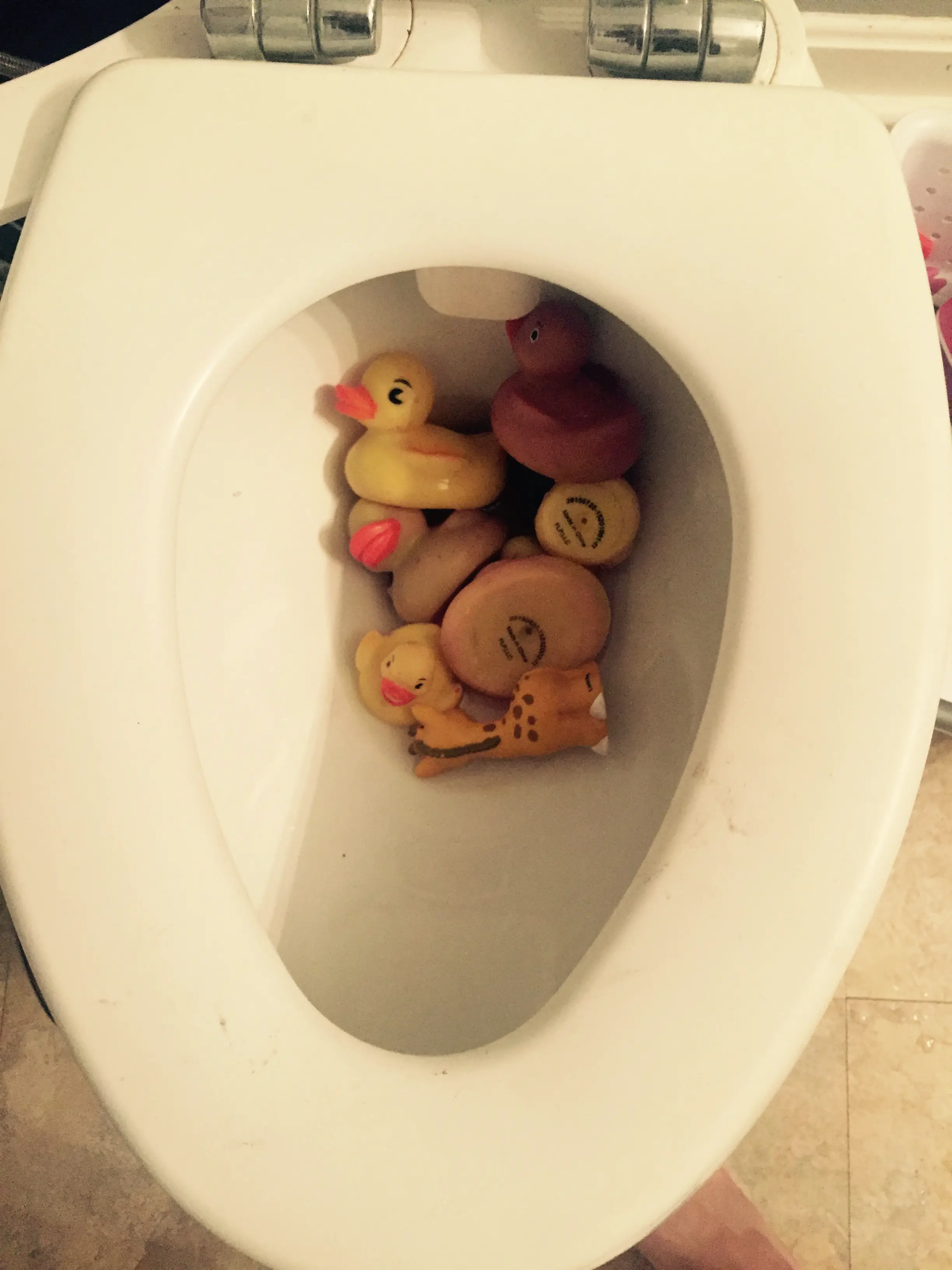 Toys in Toilet