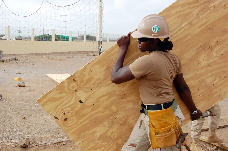 person carrying a plywood