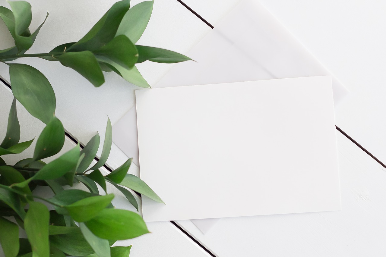 leaves on the background and white wood card