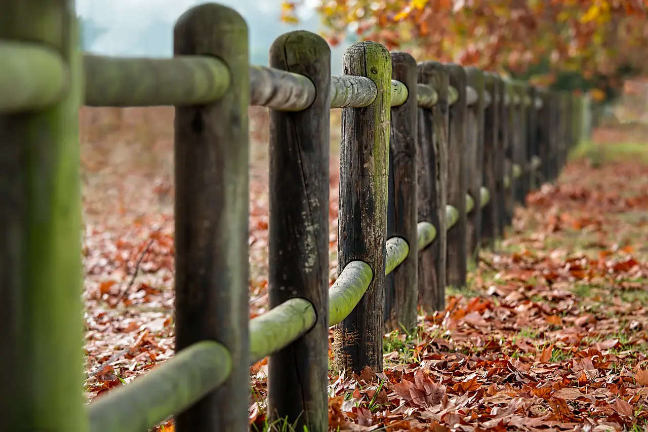 fence with moss