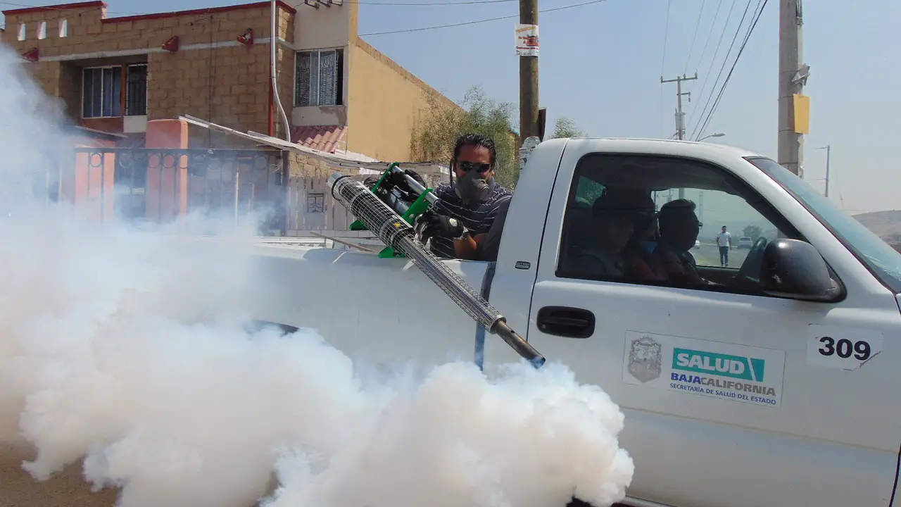 man spraying Insecticide